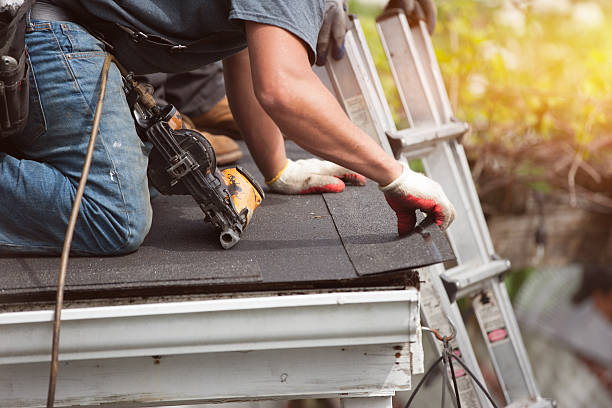 Best Roof Gutter Cleaning  in Murraysville, NC